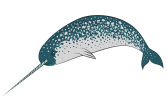 D:\Users\Sony\Desktop\narwhal-clipart-md.png